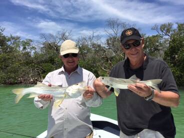 Naples Report Photo 2