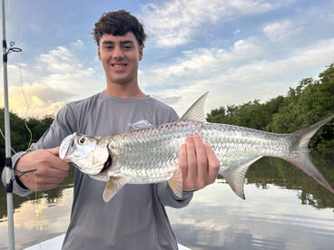 Tarpon Tours 