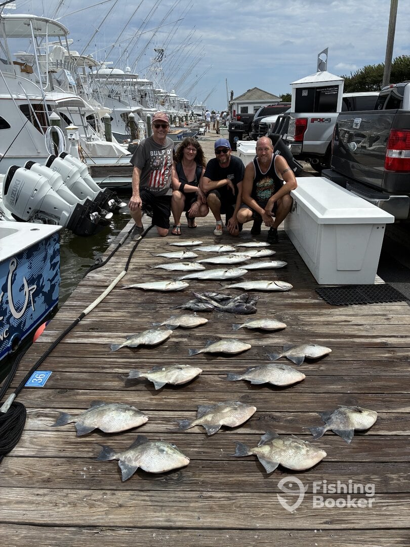 Manteo Report Photo 0