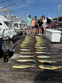 Manteo Report Photo 2