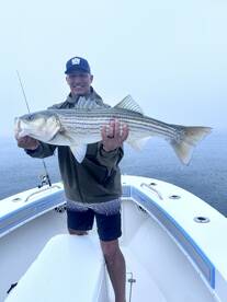 Cape Cod Report Photo 1