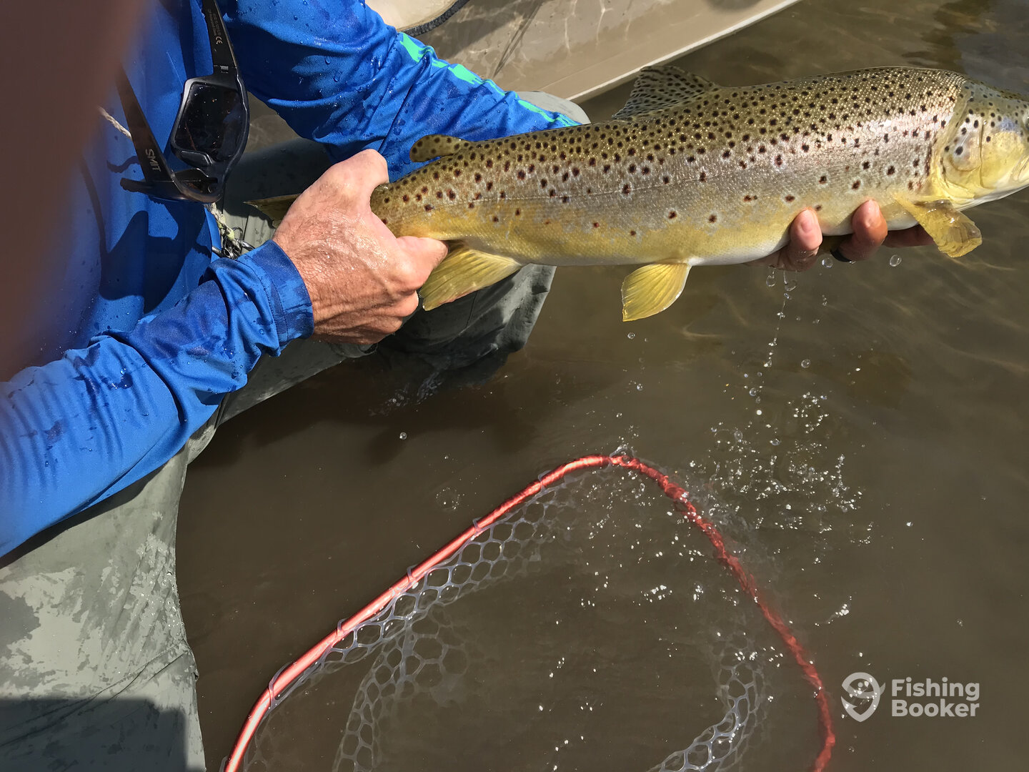 Dillon Report Photo 0