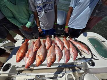 Gulf Shores Report Photo 1