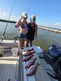 Gulf Shores Report Photo 2