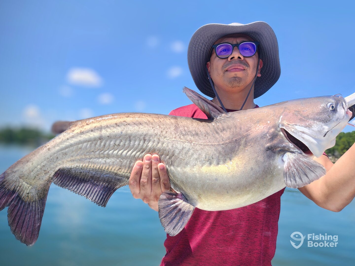 Monster LKW Blue Catfish