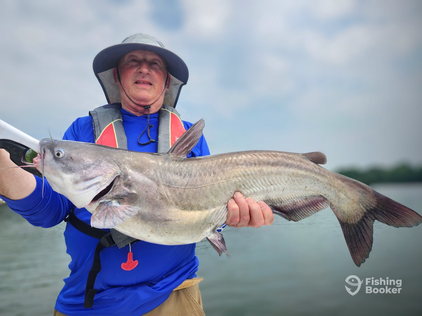 LKW Monster Blue Catfish