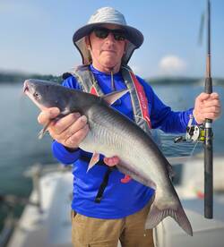 Nice little Blue Catfish