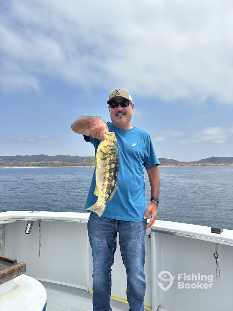 Oceanside Report Photo 0