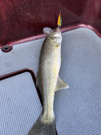 Sheffield Lake Report Photo 1