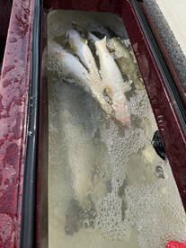 Sheffield Lake Report Photo 2