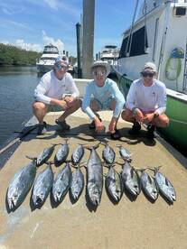 Dania Beach Report Photo 3