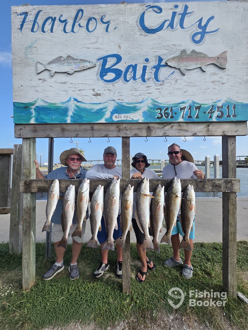 San Jose Island Report Photo 0