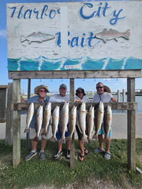 Redfish Showdown