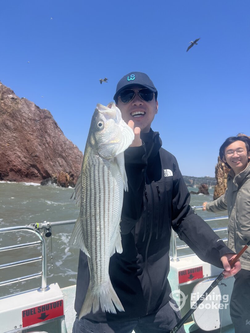 San Francisco Report Photo 0