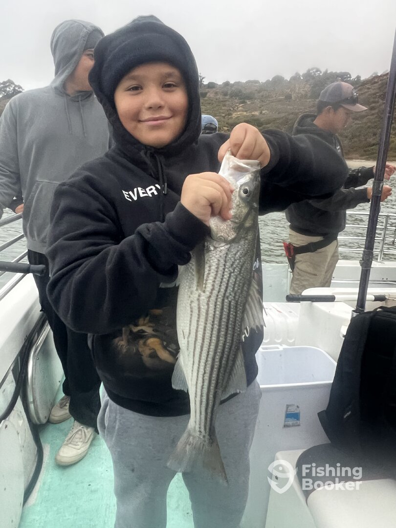 Northern California Report Photo 0