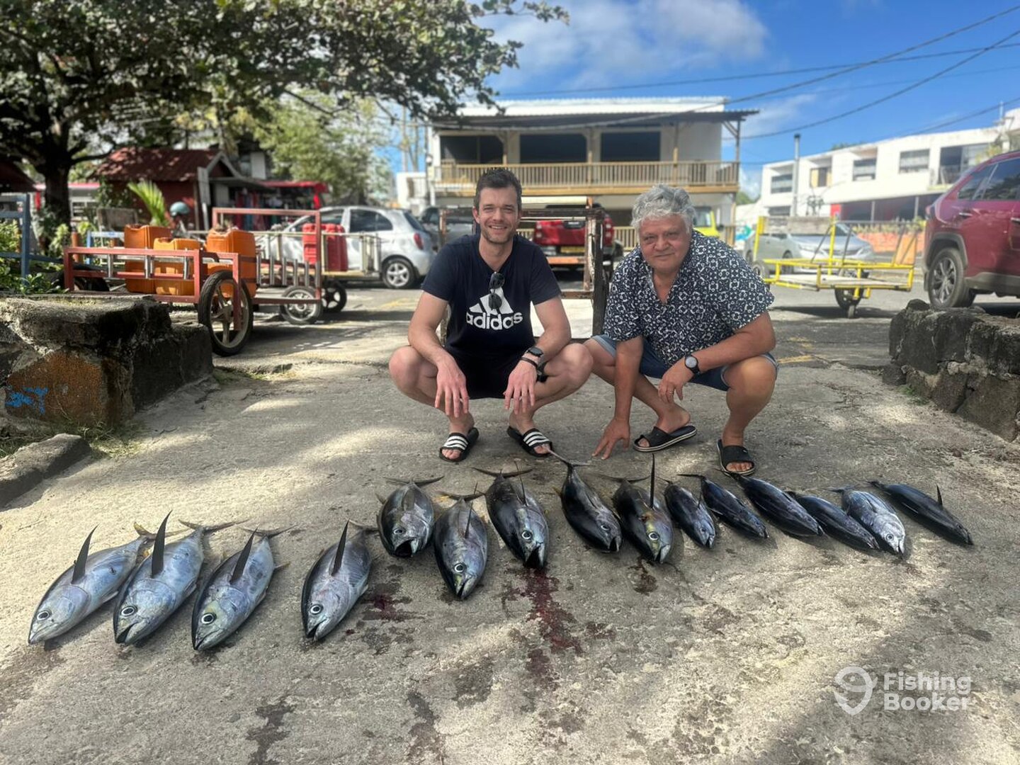Mauritius Report Photo 0
