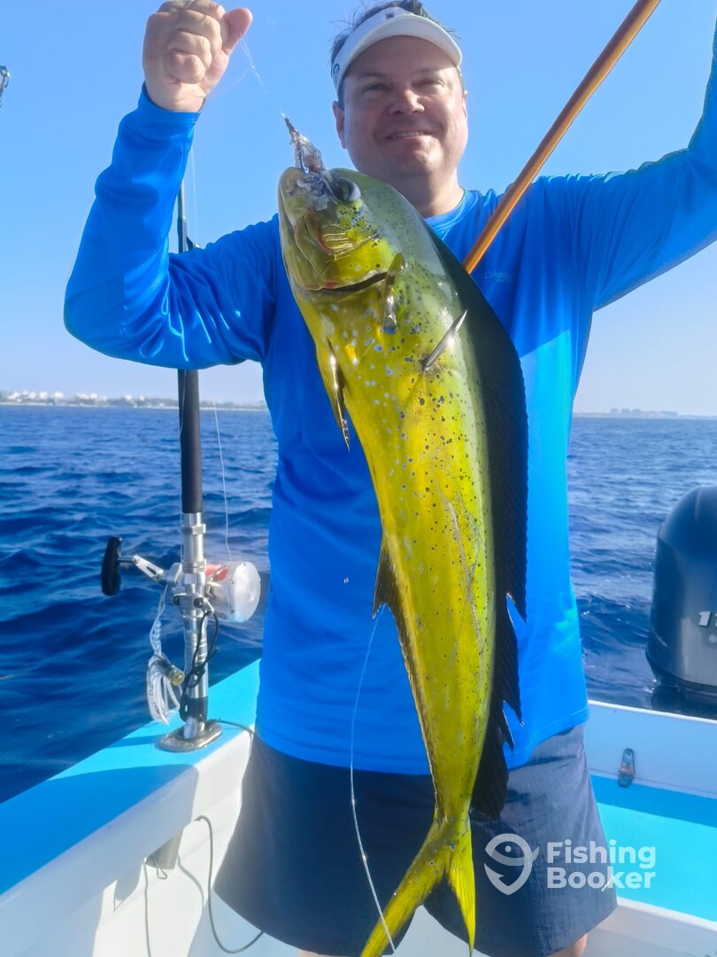 Playa Del Carmen Report Photo 0
