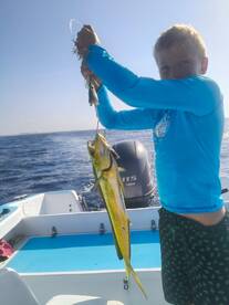 Playa Del Carmen Report Photo 2