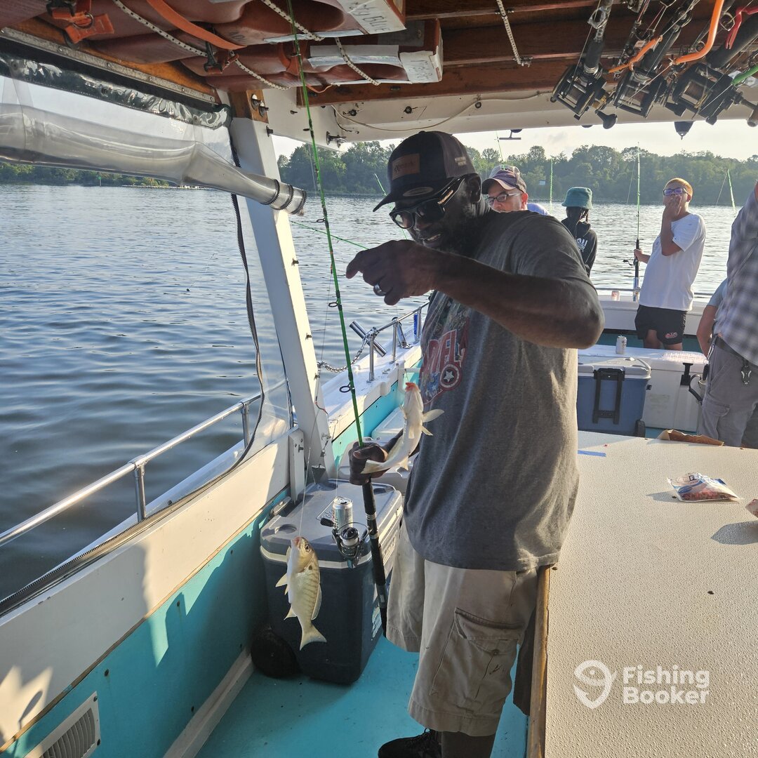 Solomons Report Photo 0