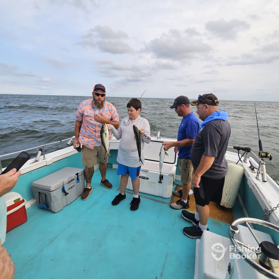 Solomons Report Photo 0