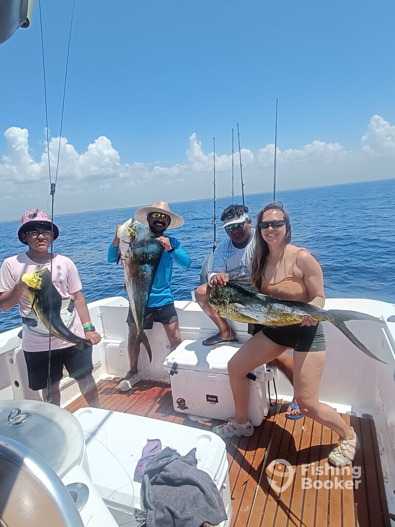 Playa Del Carmen Report Photo 0