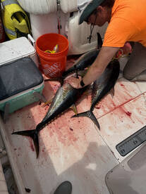 Point Pleasant Report Photo 1