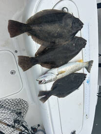 Avalon Report Photo 2