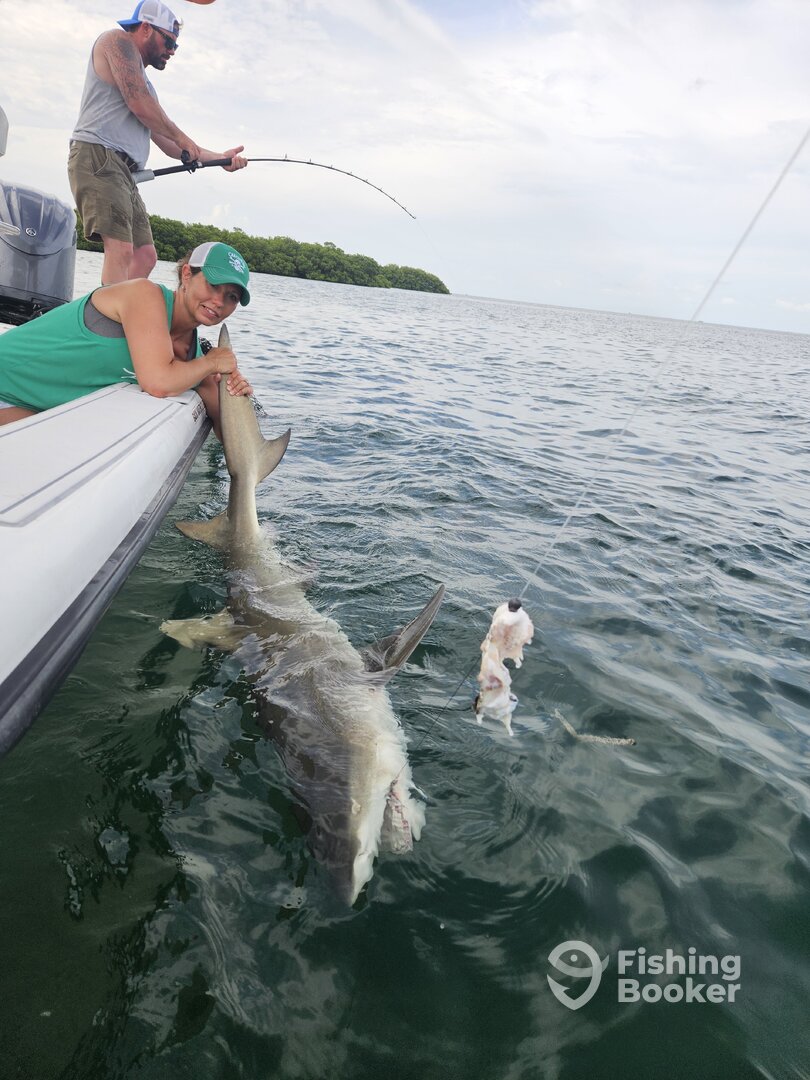 Stock Island Report Photo 0