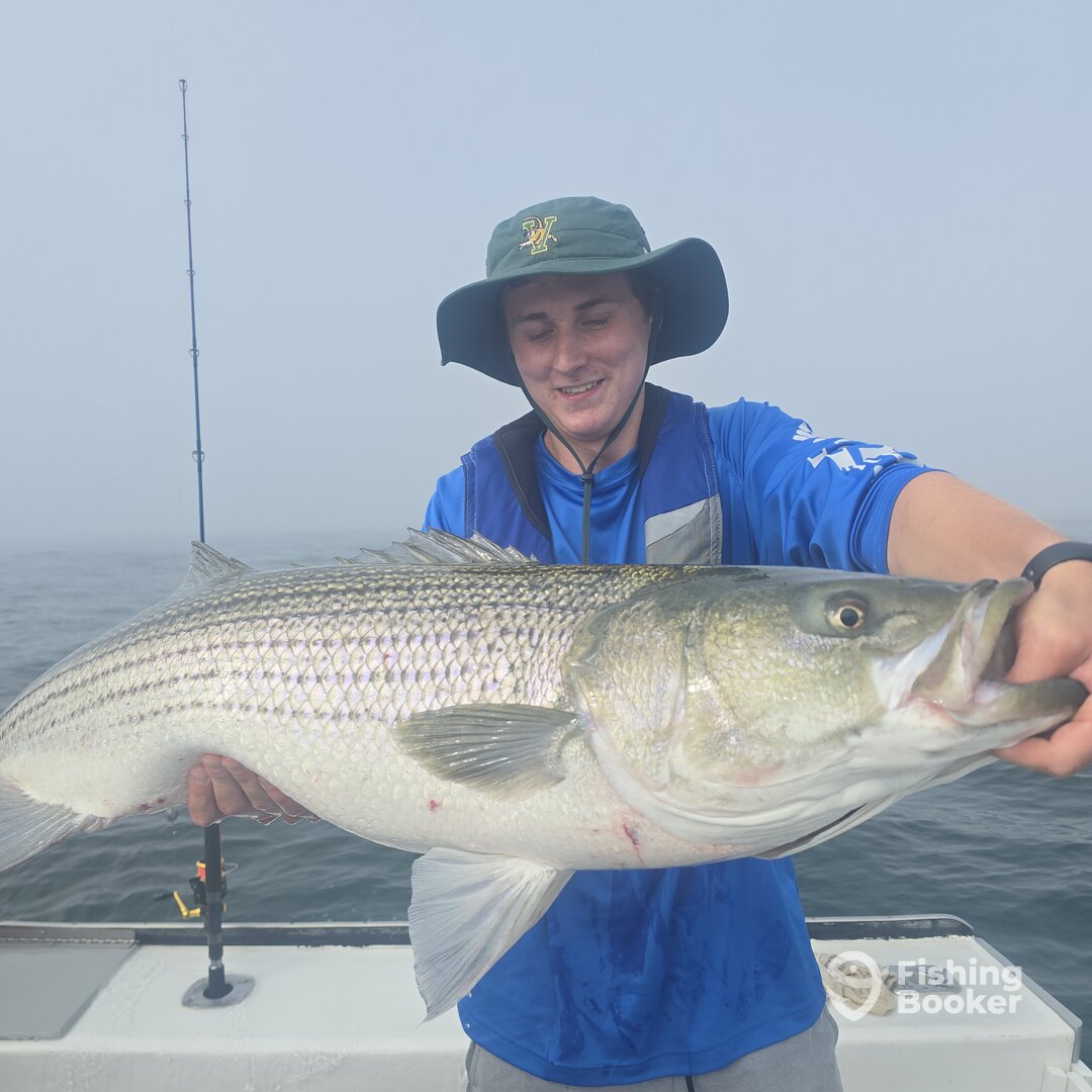 Narragansett Report Photo 0