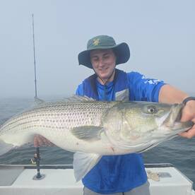 Awesome bass and shark bite