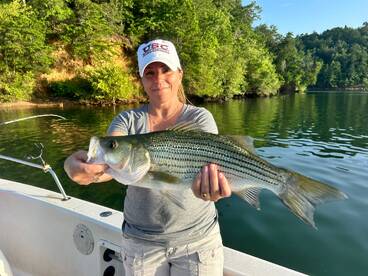 Lake Allatoona report