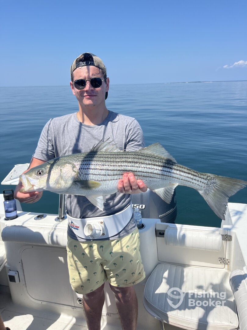 Cape Cod Bay Report Photo 0