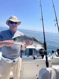 Cape Cod Bay Report Photo 1