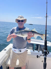 Massachusetts Report Photo 1