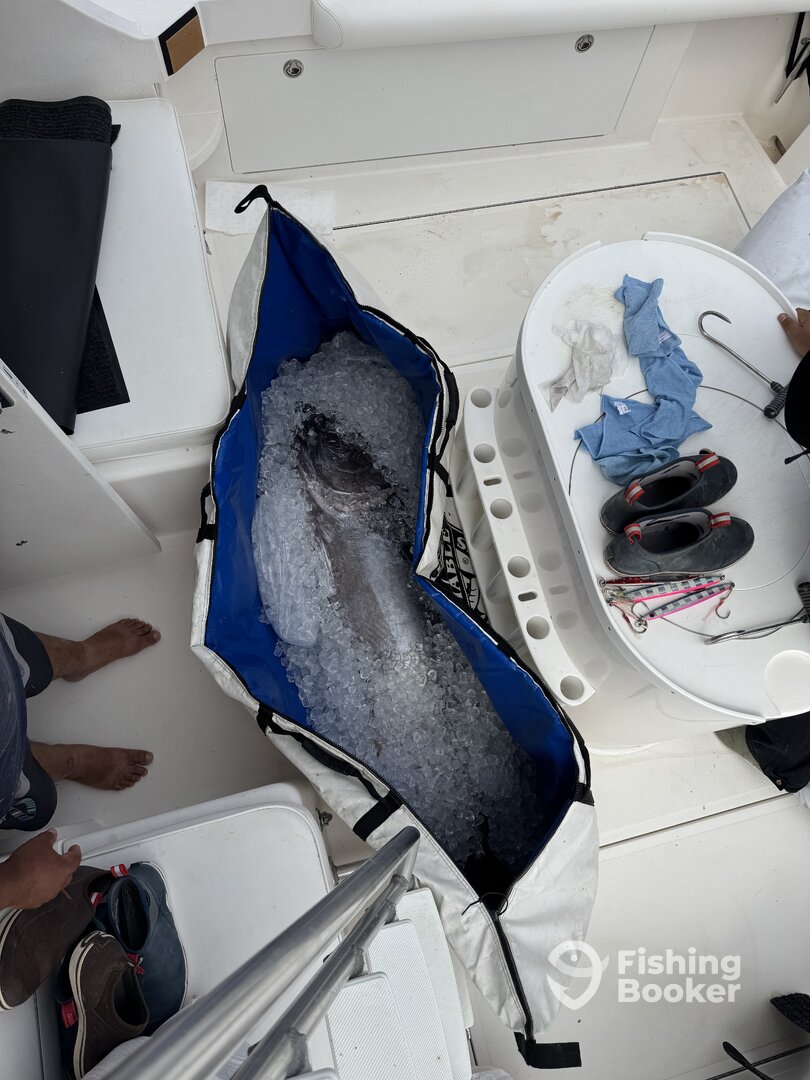 Catalina Island Report Photo 0