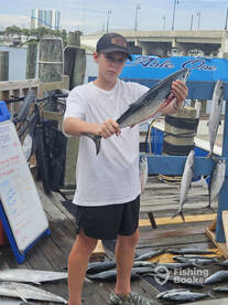 Panama City Beach Report Photo 1