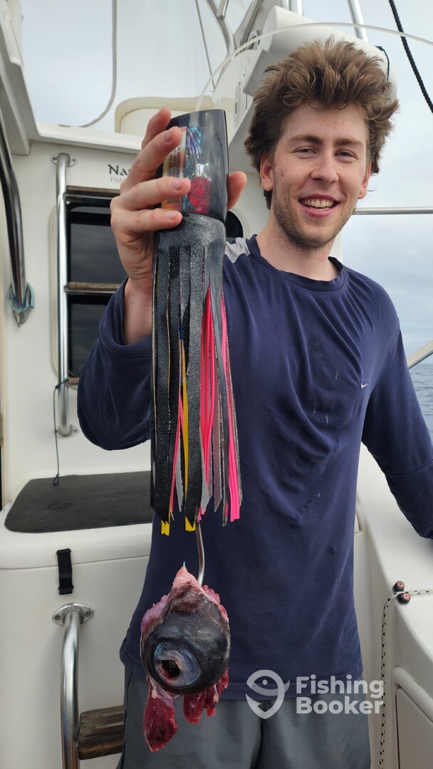 Vanuatu Report Photo 0