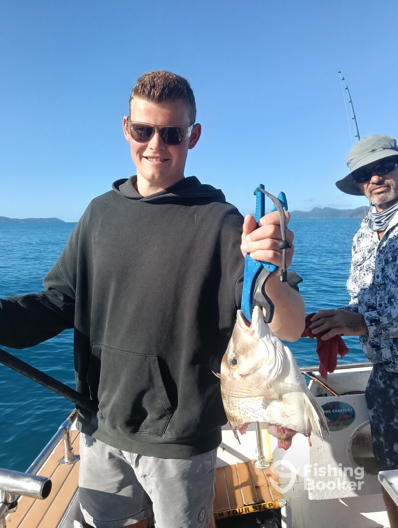 Airlie Beach Report Photo 0