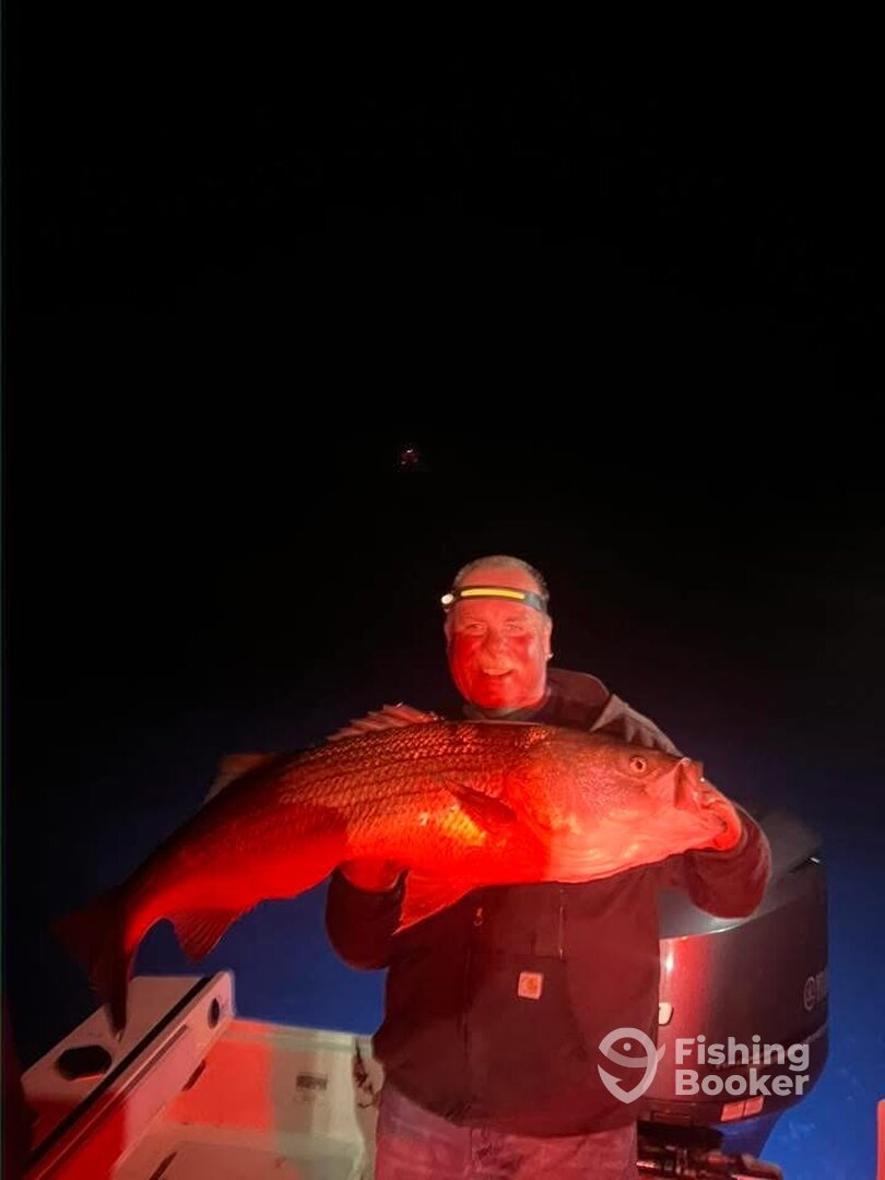 Long Island Report Photo 0
