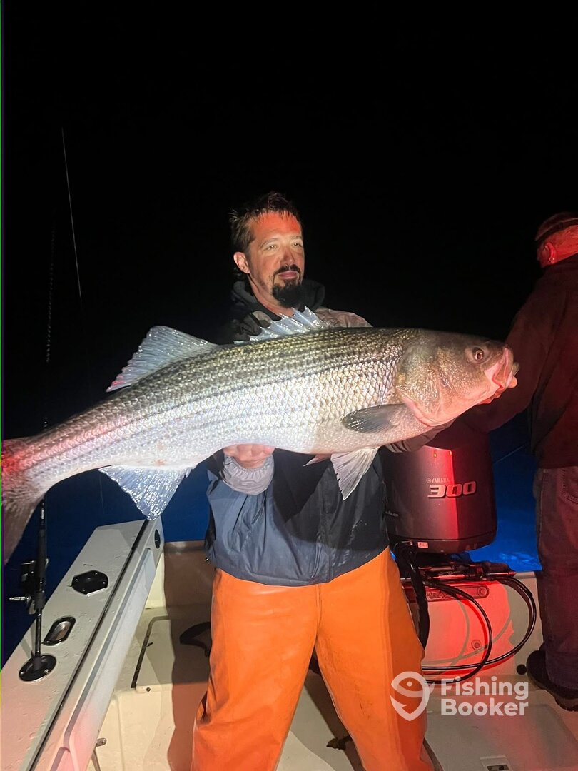 Montauk Report Photo 0