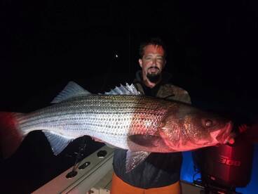 Montauk Report Photo 1