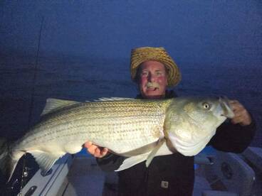 Montauk Report Photo 2