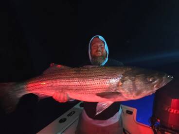 Montauk Report Photo 2