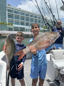 Big snappers 