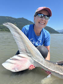 Chilliwack Report Photo 2