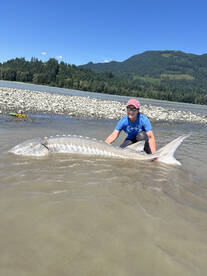 Fraser Valley Report Photo 2