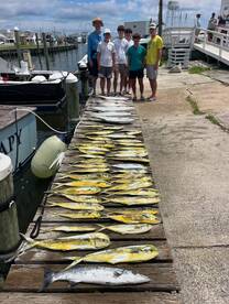 Mahi Mayhem   