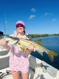 Snook 