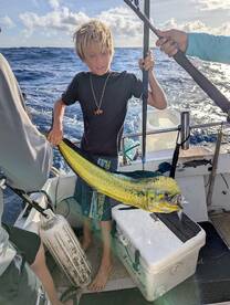 Mahi season