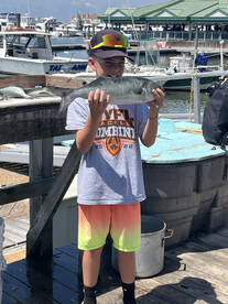 4hr inshore trolling limited out